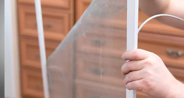 Privacy Mesh Screen Door Installation in San Leandro, CA