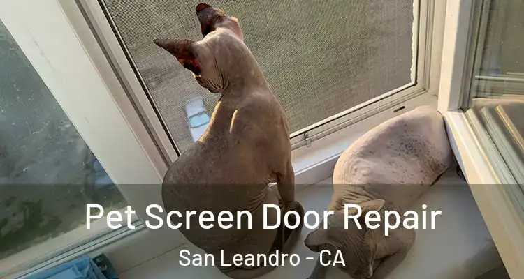  Pet Screen Door Repair San Leandro - CA